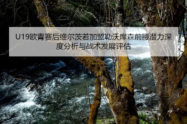 U19欧青赛后维尔茨若加盟勒沃库森前腰潜力深度分析与战术发展评估