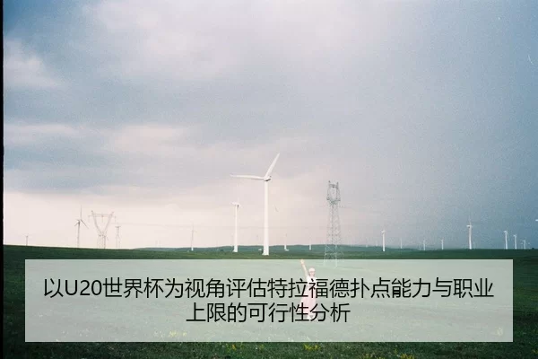 yi-shi-jie-bei-wei-shi-jiao-ping-gu-te-la-fu-de-pu-dian-neng-li-yu-zhi-ye-shang-xian-de-ke-xing-xing-fen-xi-2-882.jpg